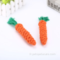 Jouets de corde à nœud de forme de carottes pour animaux de compagnie